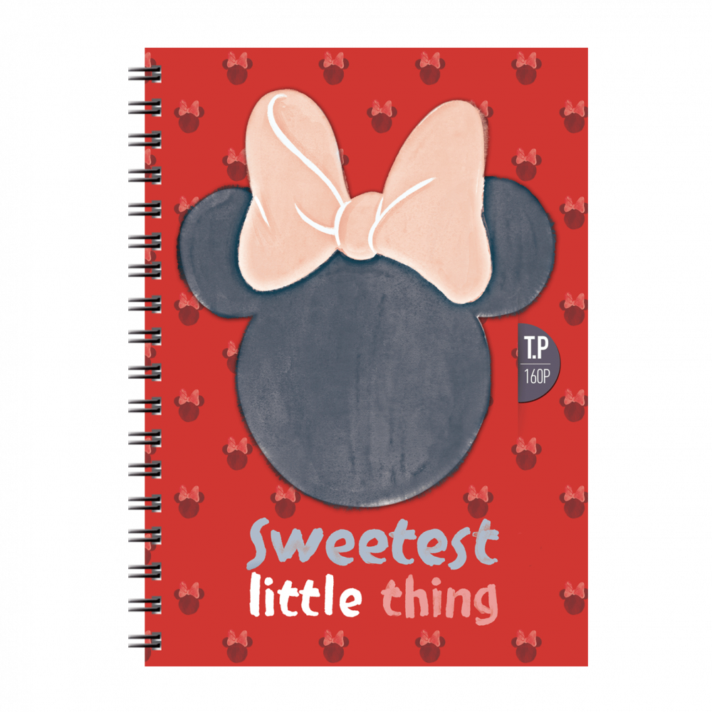 1-CAHIER-TP-WIRO-160P-SYS-COUVE0RTURE-PLASTIQUE-GM-DISNEY