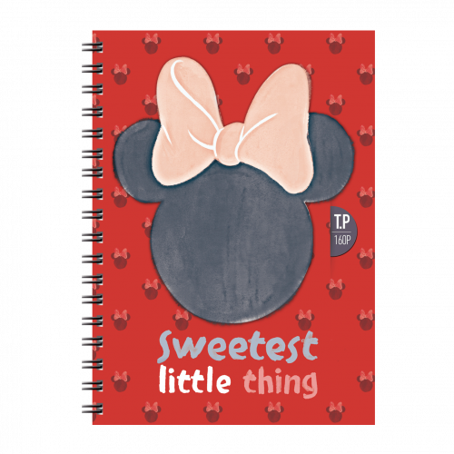 1-CAHIER-TP-WIRO-160P-SYS-COUVE0RTURE-PLASTIQUE-GM-DISNEY