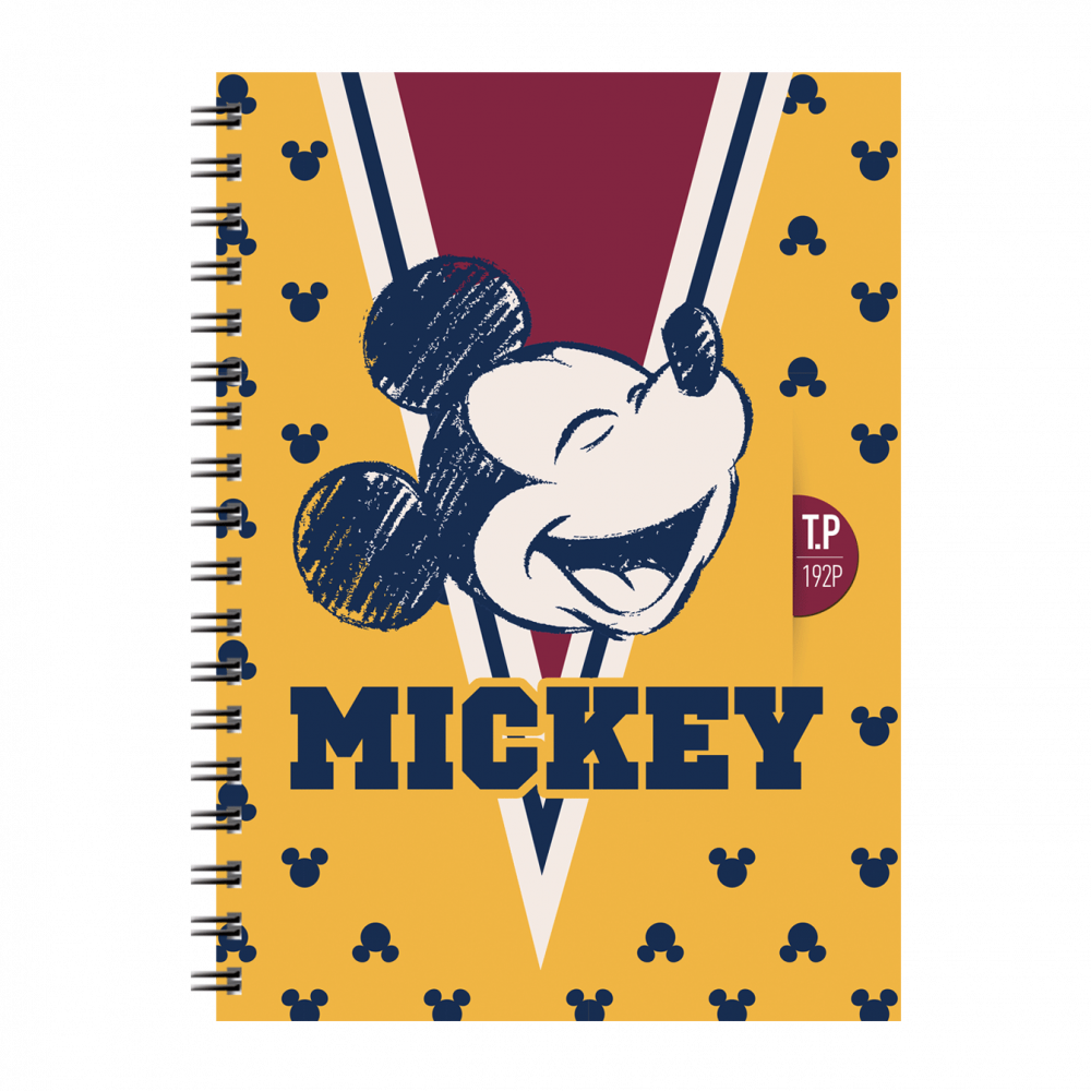 1-CAHIER-TP-WIRO-192P-SYS-COUVE0RTURE-PLASTIQUE-GM-DISNEY