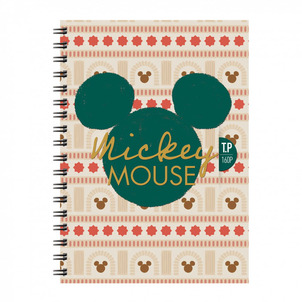 2-CAHIER-TP-WIRO-160P-SYS-COUVE0RTURE-PLASTIQUE-GM-DISNEY