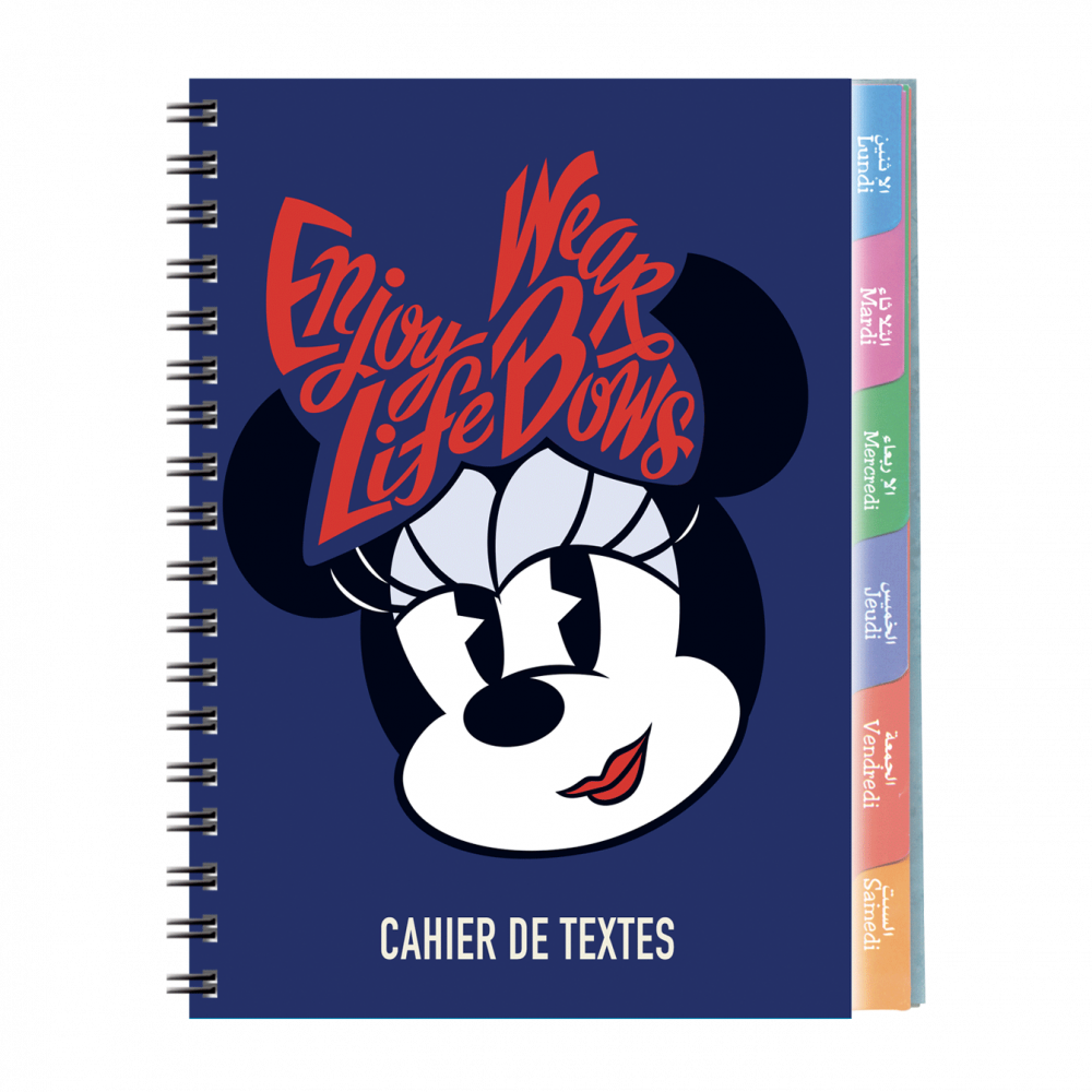 3--cahier-de-textes-Disney-17x22cm-couverture-plastique