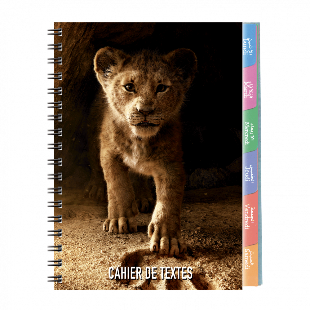 5--cahier-de-textes-Disney-17x22cm-couverture-plastique