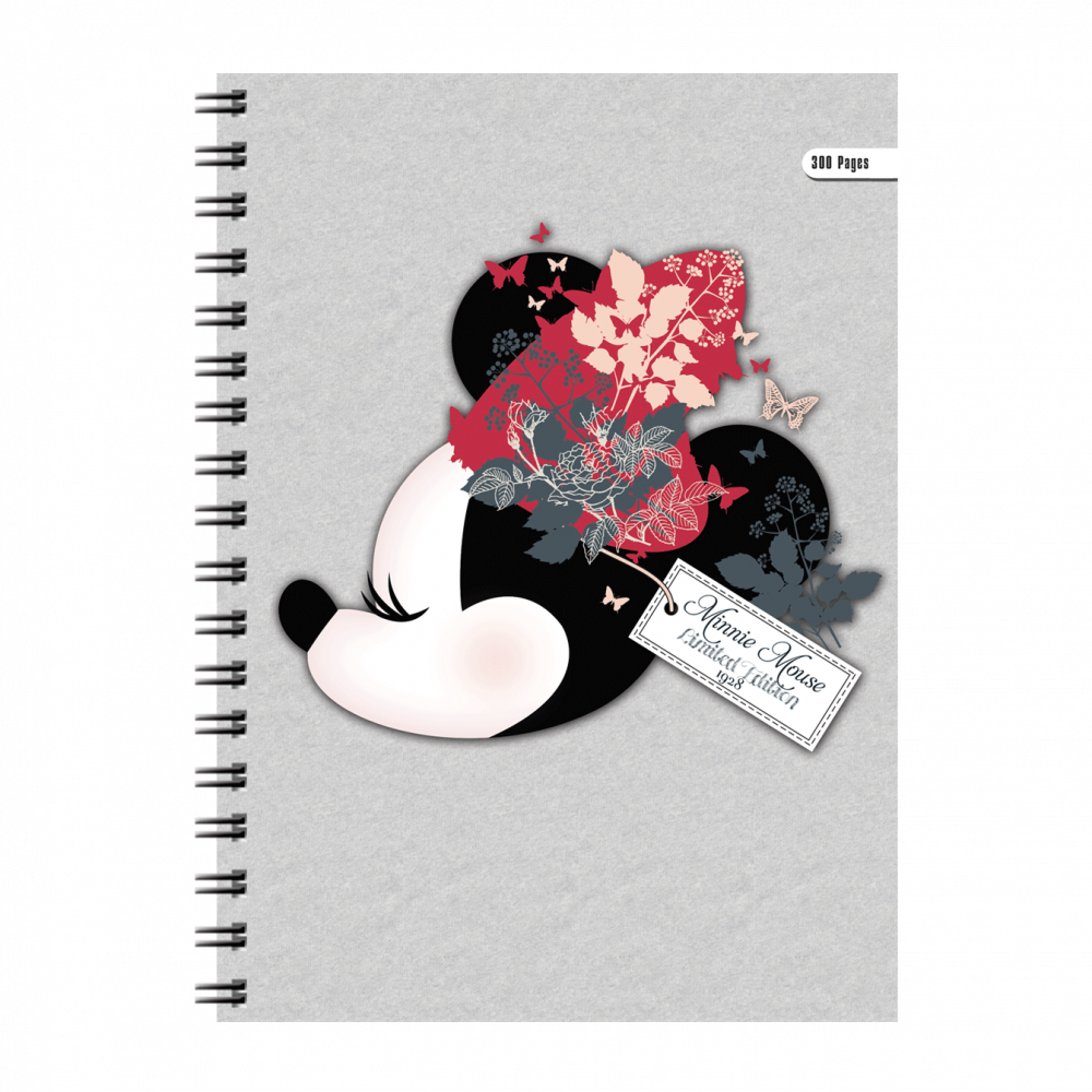 Cahier Wiro Fantaisie 300P GM Disney CP 80G – Image 2