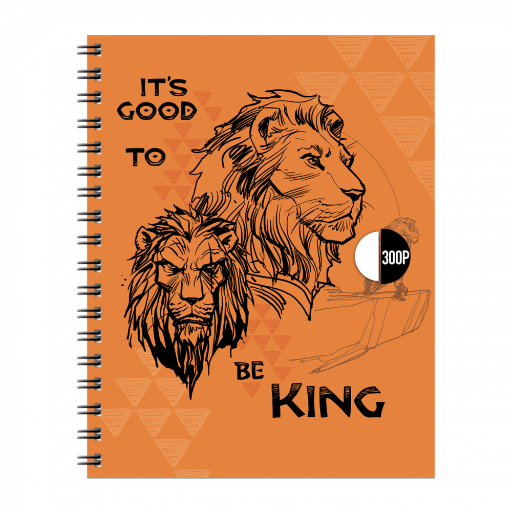 Cahier Wiro Fantaisie 300P PM Disney CP 80G – Image 3